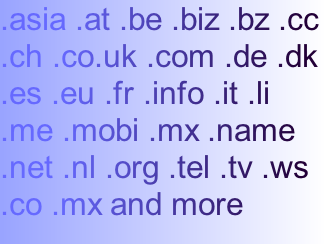 .asia .at .be .biz .bz .cc .ch .co.uk .com .de .dk .es .eu .fr .info .it .li .me .mobi .mx .name .net .nl .org .tel .tv .ws .co .mx and more
